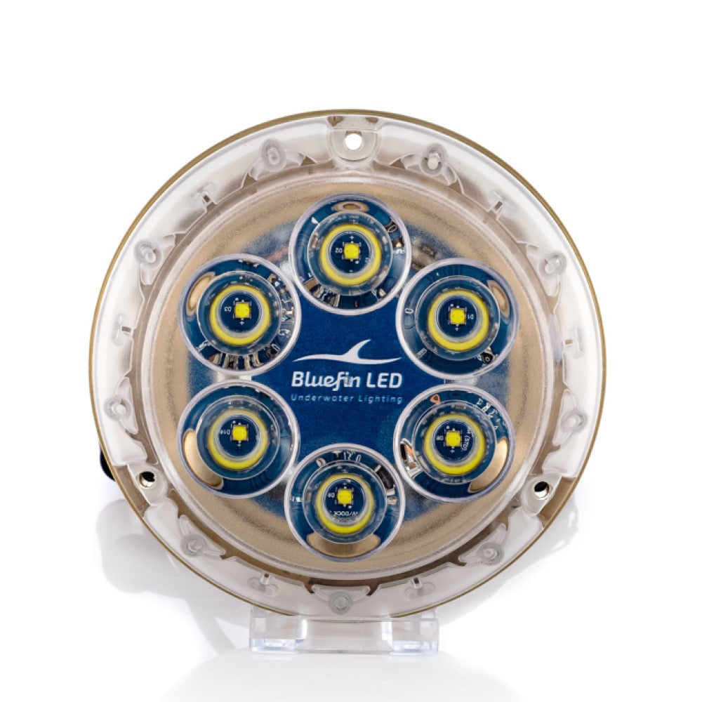 Bluefin LED Bronze Piranha P6 Nitro SM Light - 12V Cobalt Blue