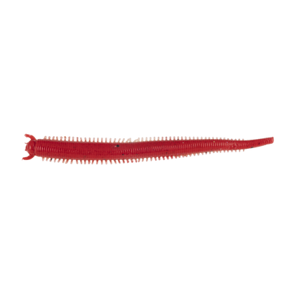 Berkley - Gulp Saltwater Fat Sandworm