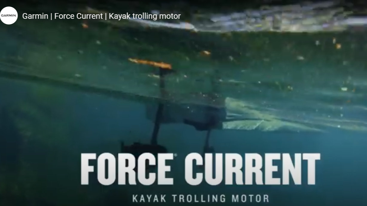 Load video: Garmin Livescope Plus Live-scanning sonar