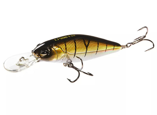 LUCKY JOHN SHAD X 002